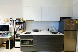 Sims Urban Oasis (D14), Condominium #447322861